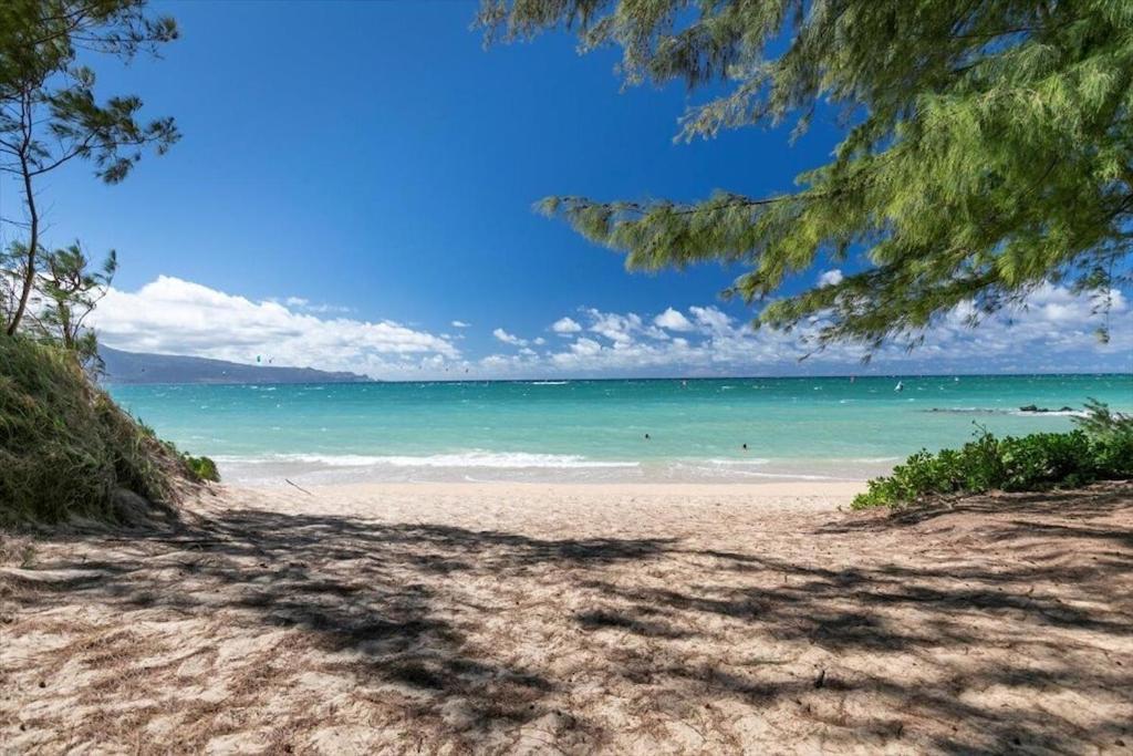 Unit 2 Maui Ohana Modern Studio 와일루쿠 외부 사진
